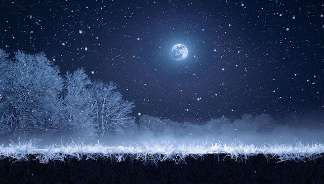 Moonlit winter meadow under starry sky with frosted trees and drifting snow, lunar glow