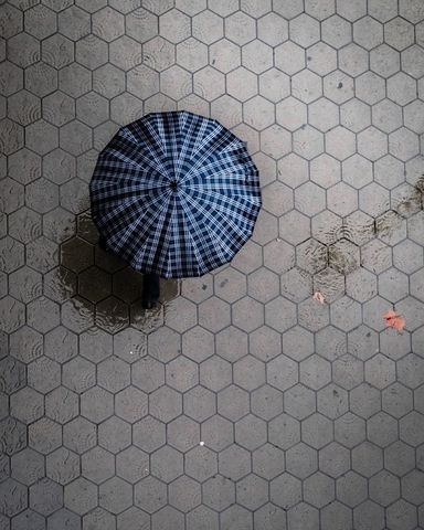 Person walking on wet pavement with black and white umbrella