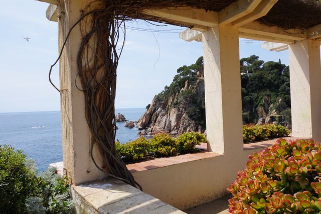 Ocean view from a coastal terrace framed by lush vegetation and cliffs. Ideal for backgrounds emphasizing nature, travel brochures, and promoting serene vacation destinations.
