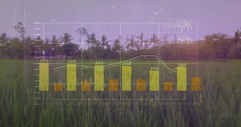 Agriculture data visualization over rice paddy at sunrise with bar chart and line graph