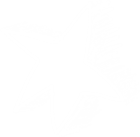 White Star Sketch with Transparent Background for Creative Designs - Download Free Stock Videos Pikwizard.com