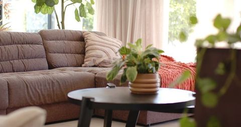 Cozy brown sectional sofa featuring round black coffee table, plush throw, indoor greenery