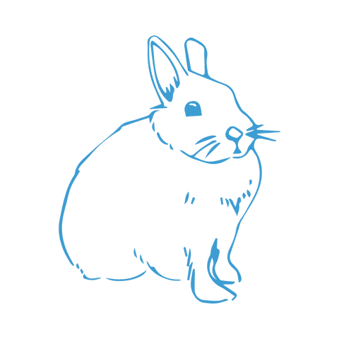 cartoon blue fat bunny illustration on transparent background - Download Free Stock Videos Pikwizard.com