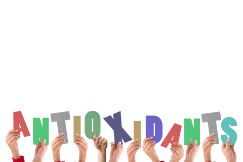 Hands Holding Antioxidants Text Transparent Background - Download Free Stock Videos Pikwizard.com