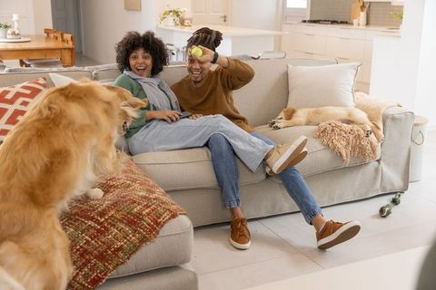 African american couple playing with golden retriever on bright sofa in open-plan home