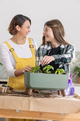 Diverse friends potting herbs in modern kitchen planter smiling and bonding over gardening