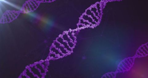 Digital Representation of DNA Strands on Dark High-Tech Background - Download Free Stock Images Pikwizard.com