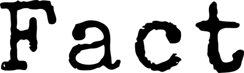 Fact text on transparent background design