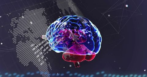 Rotating translucent 3d brain visualizing neural network data, holographic connections