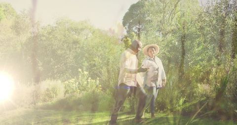 Biracial Senior Couple Walking in Sunlit Nature, Celebrating Healthy Lifestyle - Download Free Stock Images Pikwizard.com