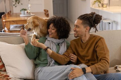 African american couple playing with golden retriever on sofa in cozy modern living room