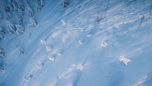 Drone aerial of snow-laden alpine slope with scattered evergreens and long shadows