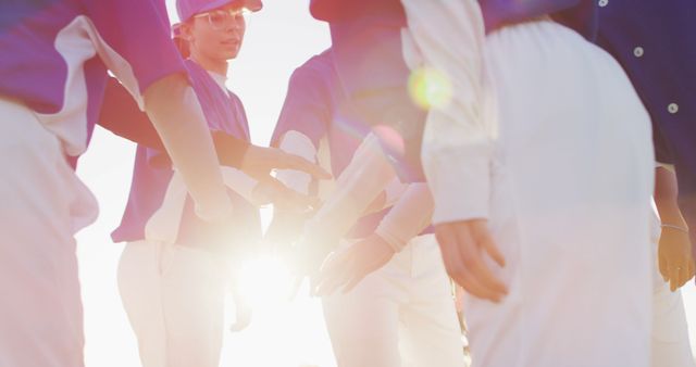 Youth Baseball Team Celebrating Victory in Bright Sunlight - Download Free Stock Images Pikwizard.com