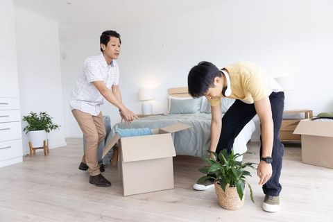 Asian roommates unpacking boxes and placing potted plant in sunlit modern bedroom