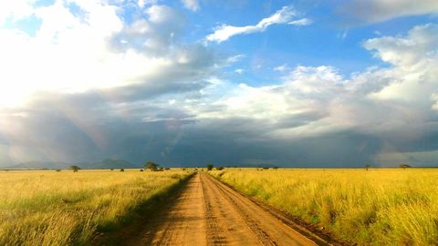 Plain dirt road stretching through african grasslands under stormy sky