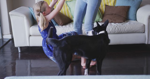 Playful girl interacting with family dog indoors - Download Free Stock Images Pikwizard.com