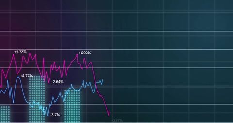 Dynamic financial data visualization with graphs and charts