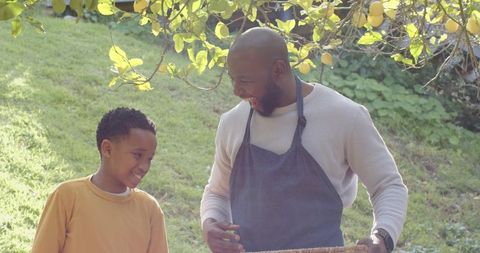 African american father and son harvesting lemons in sunlit backyard smiling and bonding