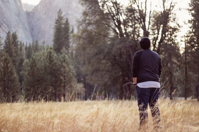 Person Admiring Nature in Forest Clearing, Misty Mountains - Download Free Stock Images Pikwizard.com