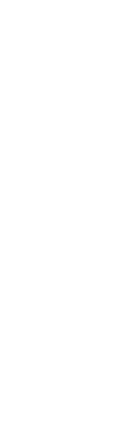 white abstract plant illustration on transparent background - Download Free Stock Videos Pikwizard.com