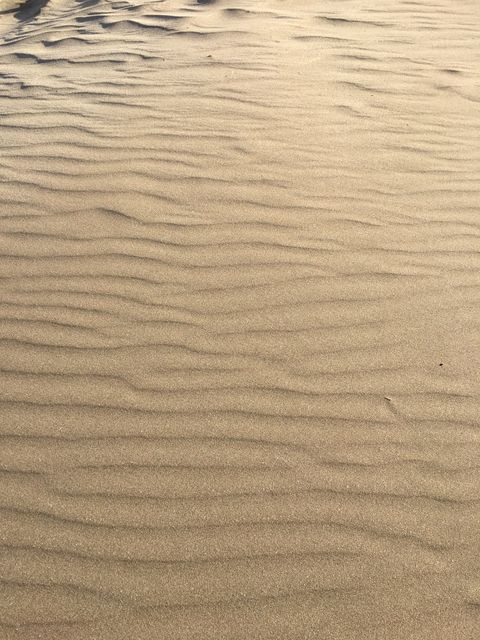 Dune Sand Landscape - Download Free Stock Photos Pikwizard.com