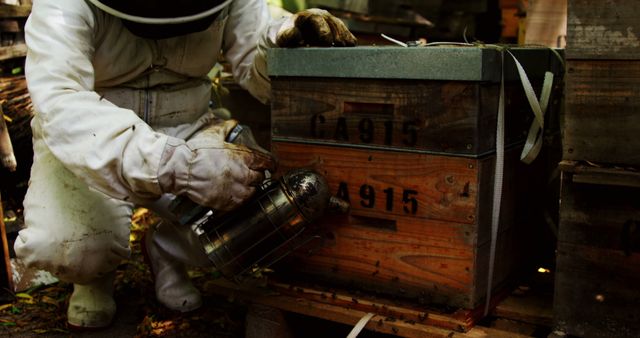 Beekeeper Tending to Hives Using a Smoker on Wooden Boxes - Download Free Stock Images Pikwizard.com