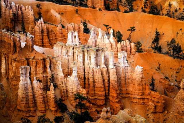 The image displays the iconic hoodoos of Bryce Canyon National Park in Utah. Tall, jagged rock pillars are vividly highlighted against the red and orange hues of the canyon walls. Some green vegetation sparsely extends across the rocky surface. This incredible natural scene is useful for travel brochures, geology publications, and educational materials about national parks and erosion phenomena.