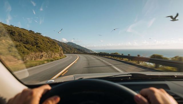 Driving scenic coastal cliff highway with hands on wheel, ocean view and seabirds