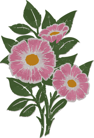 Vibrant Pink Flowers Illustration on Transparent Background