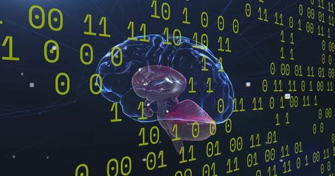 Digital Brain with Binary Data Overlay and Neon Grid - Download Free Stock Images Pikwizard.com