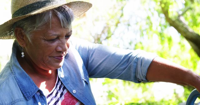 Senior woman enjoying gardening in outdoor garden area under sunlight. Wearing straw hat and denim shirt, smiling as she tends to plants. Image can be used for themes related to aging, hobbies, leisure activities for seniors, gardening, outdoor lifestyle, and summer activities.