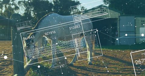 Digital innovation in rural equine management with hud panels