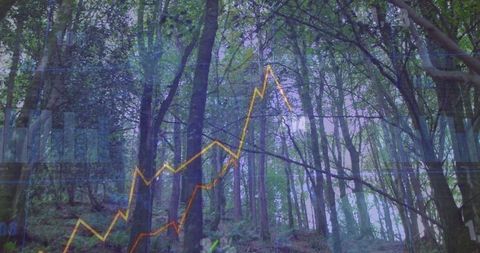 Financial Graphs Overlaying Lush Forest for Data Analytics Concept