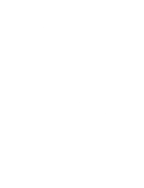 Transparent PNG Silhouette of Martial Artist Kicking, Isolated - Download Free Stock Videos Pikwizard.com