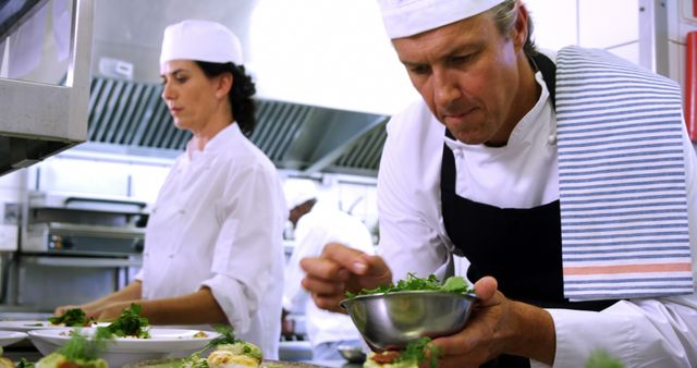 Professional Chefs Preparing Meals in Busy Restaurant Kitchen - Download Free Stock Images Pikwizard.com