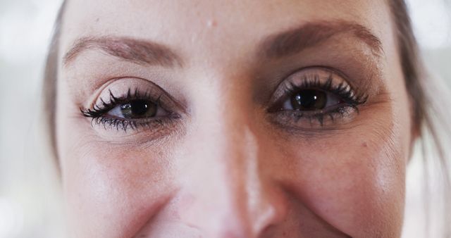 Close-Up of Woman's Eyes with Long Eyelashes and Eyebrows - Download Free Stock Images Pikwizard.com