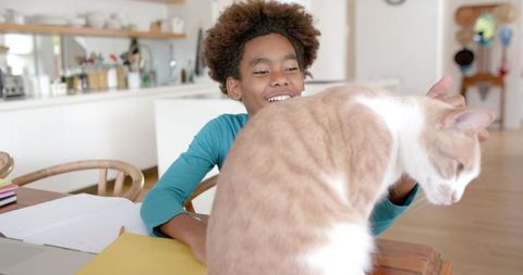 Smiling Boy Petting Cat at Dining Table in Cozy Kitchen