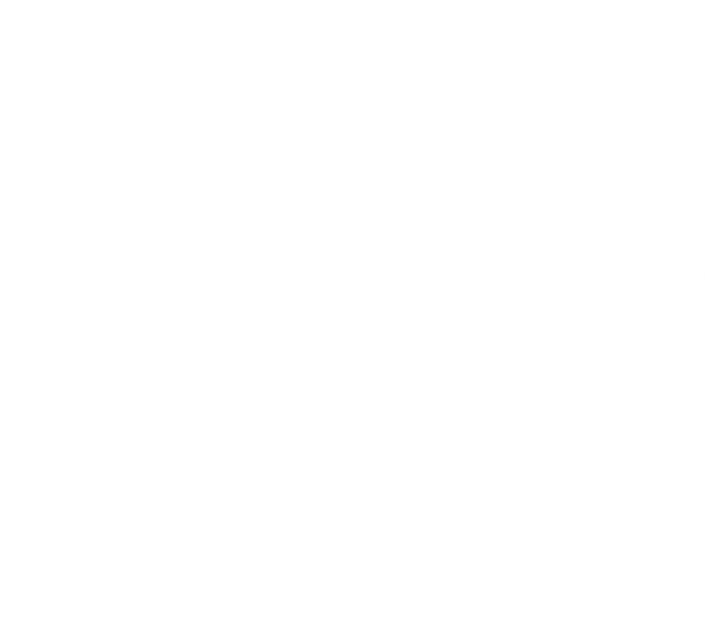 Boxing Fighter Silhouettes of Man and Woman with Transparent Background - Download Free Stock Videos Pikwizard.com