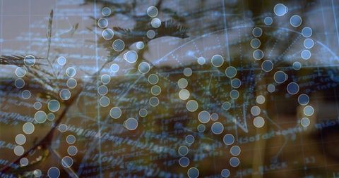 Translucent node network overlaying code and conifer branch — abstract tech-nature fusion