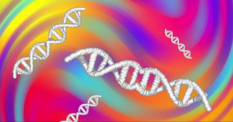 dna strands on vibrant rainbow swirl background - Download Free Stock Images Pikwizard.com
