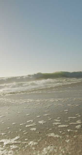 Sunny Beach Waves and Blue Sky on a Tranquil Summer Day - Download Free Stock Images Pikwizard.com