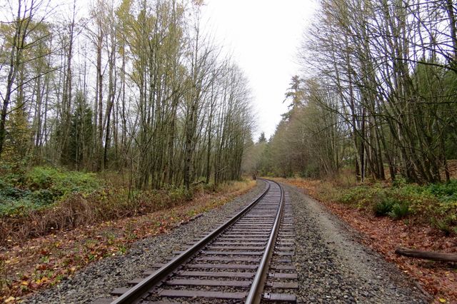 Curving railroad track surrounded by autumn trees with colorful foliage. Ideal for use in nature photography, travel marketing, rural transportation concepts, serene landscape art, and environmental awareness campaigns.
