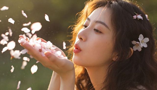 Asian woman blowing cherry blossom petals in golden hour soft light