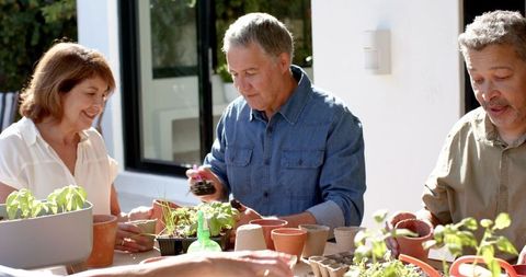 Senior friends cultivating plants on patio for sustainable gardening