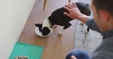 Man gently cares for pet dog indoors, highlighting nurturing bond between pet owner and dog. Suitable for pet care blogs, lifestyle content illustrating everyday quality time with pets, or advertising pet food and supplies emphasizing loving home environment.