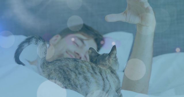 Spots of light against caucasian man playing with his cat while sleeping on the bed at home. national pet month awareness concept