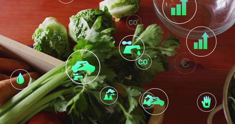 Sustainability icons overlaying fresh organic vegetables