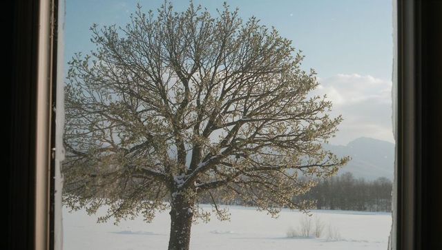 Serene Snow-Covered Tree Seen Through Vintage Window Frame