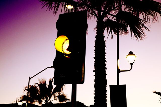 Silhouette of a traffic light with a yellow signal illuminated at sunset with palm trees and street lamps in the background. Perfect for urban or transportation-themed projects, illustrating travel conditions, time of day, or depicting city life.