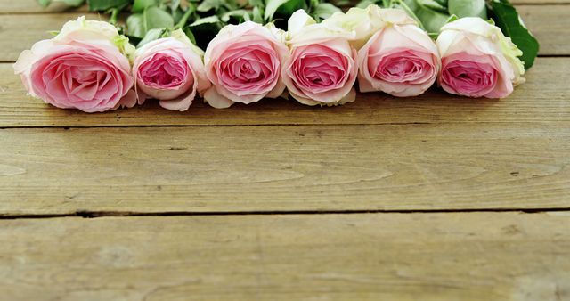 A row of delicate pink roses lines the bottom edge of a rustic wooden surface, with copy space. These flowers add a touch of natural beauty and could be used for romantic, celebratory, or commemorative occasions.